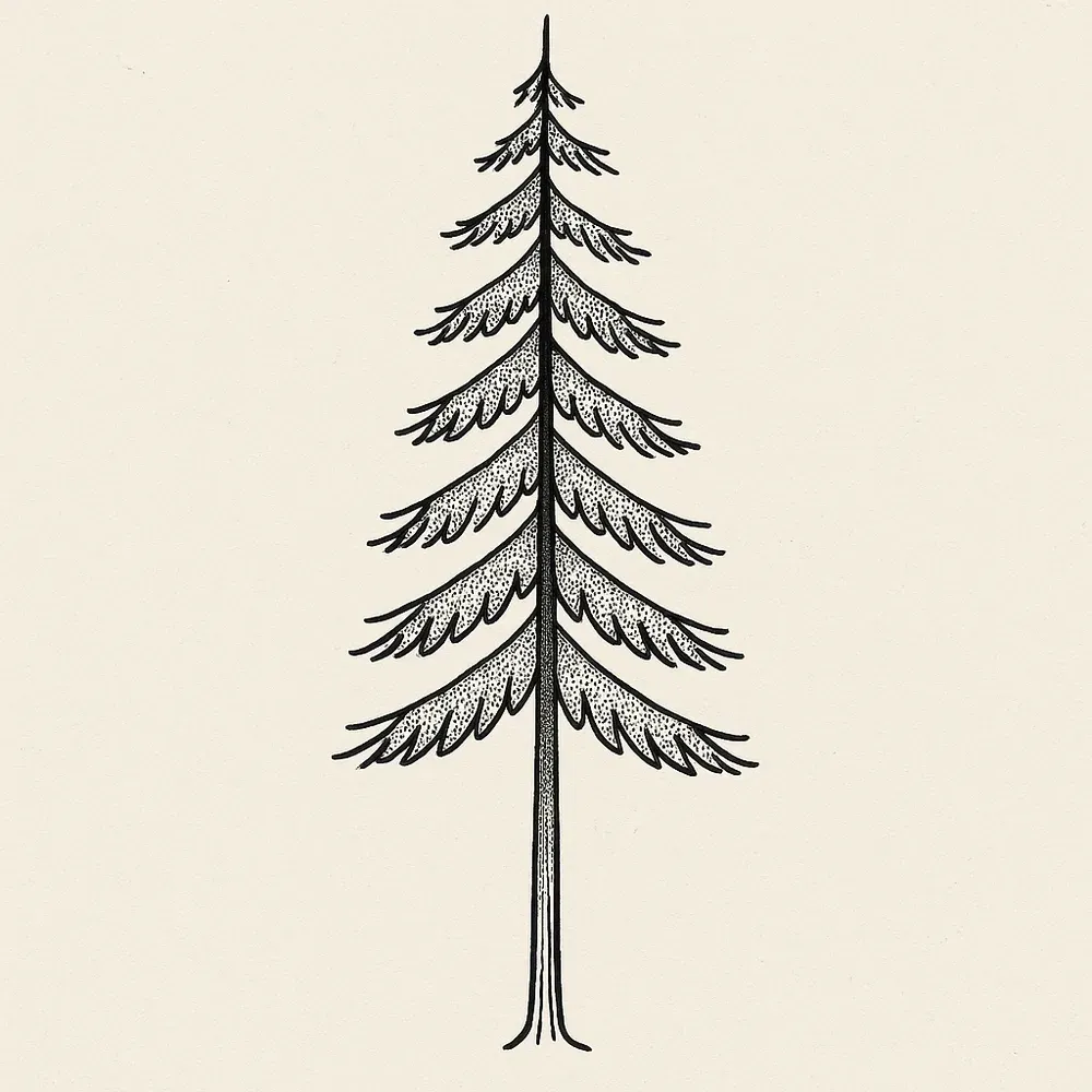 A tall narrow pine in black line, tiers of drooping branches stippled underneath above a straight bare trunk.