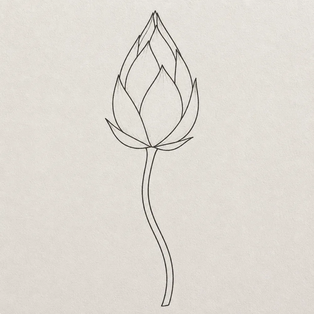 A tall closed lotus bud with overlapping pointed petals on a long, gently curving stem, drawn in thin black outline.