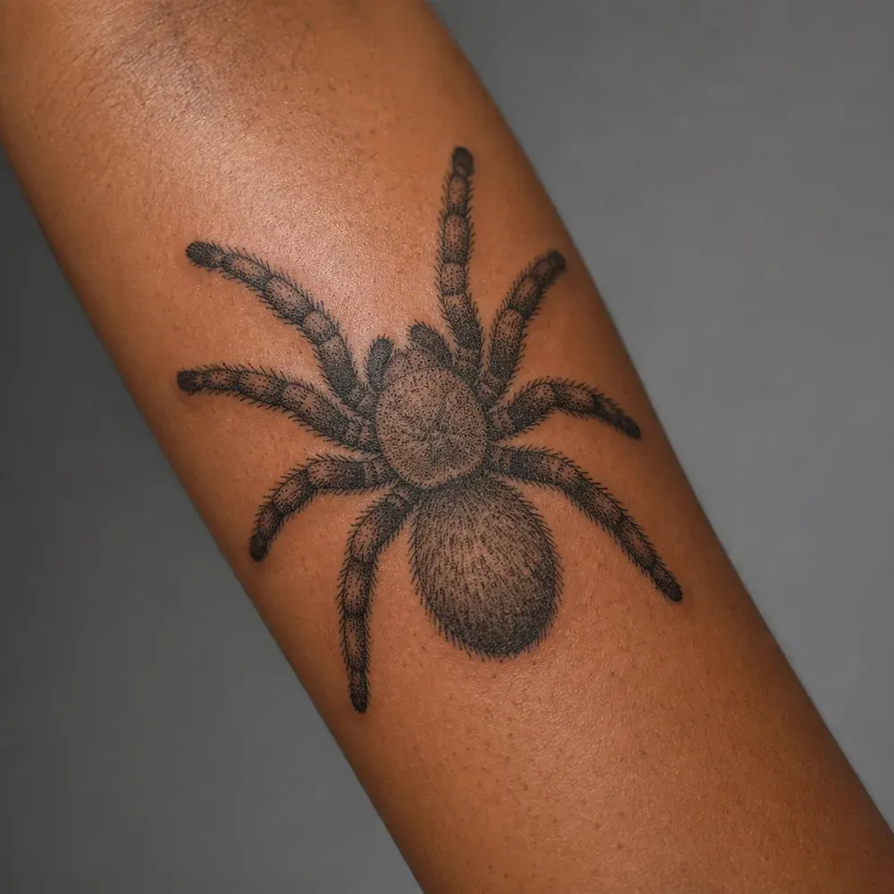 A stippled dotwork tarantula with thick hairy legs, tattooed across the outer forearm of warm brown skin.